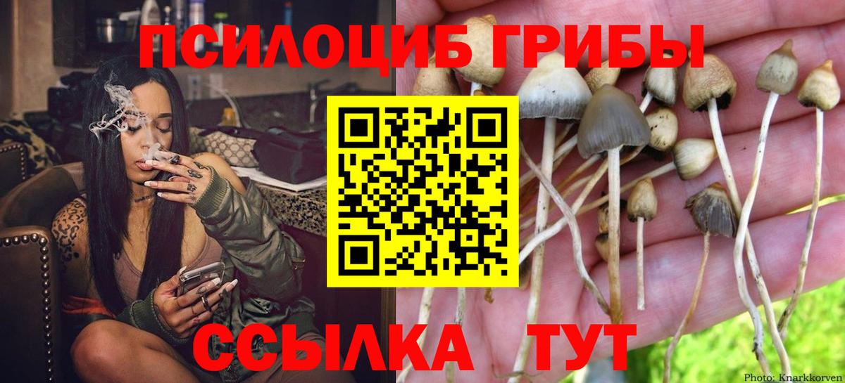 Псилоцибиновые грибы прущие грибы  как найти закладки  Долгопрудный  Вход с VPN  Псилоцибиновые грибы прущие грибы 